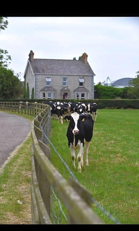 фото Ballyginniff Farm House