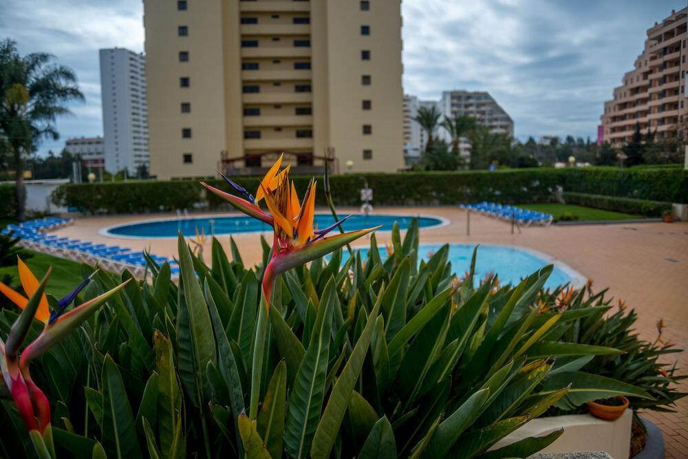 фото Apartamentos Turisticos Flor da Rocha