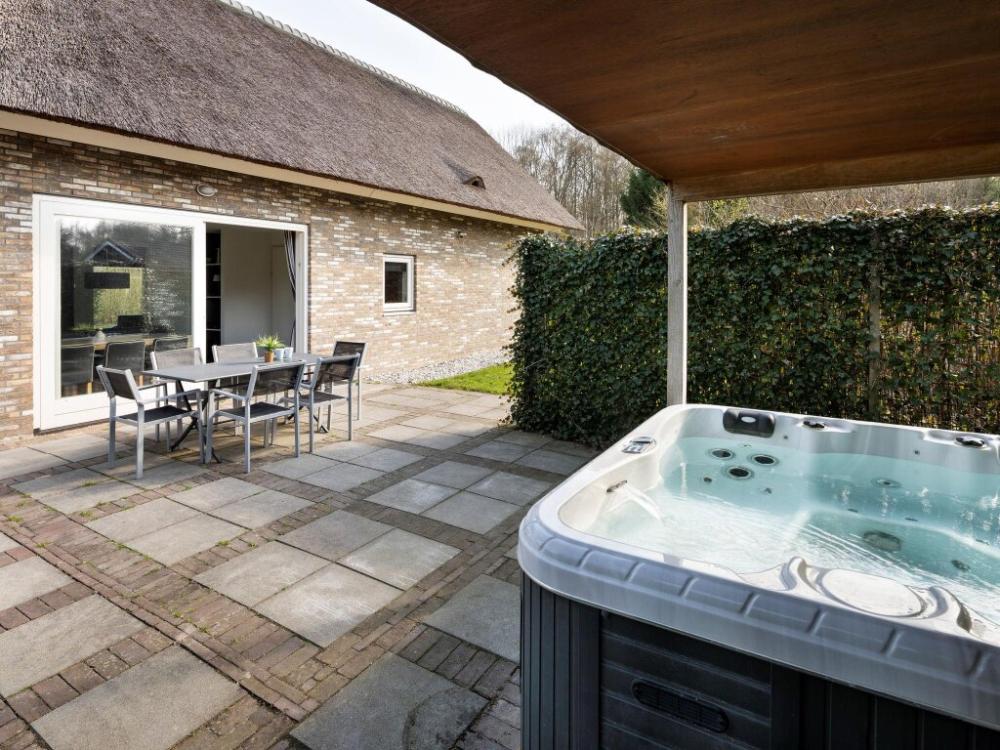 фото Luxury villa with whirlpool and jacuzzi, 8 km from Hoogeveen