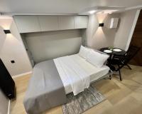Апартаменты стандарт с 1 двуспальной кроватью (мансарда)