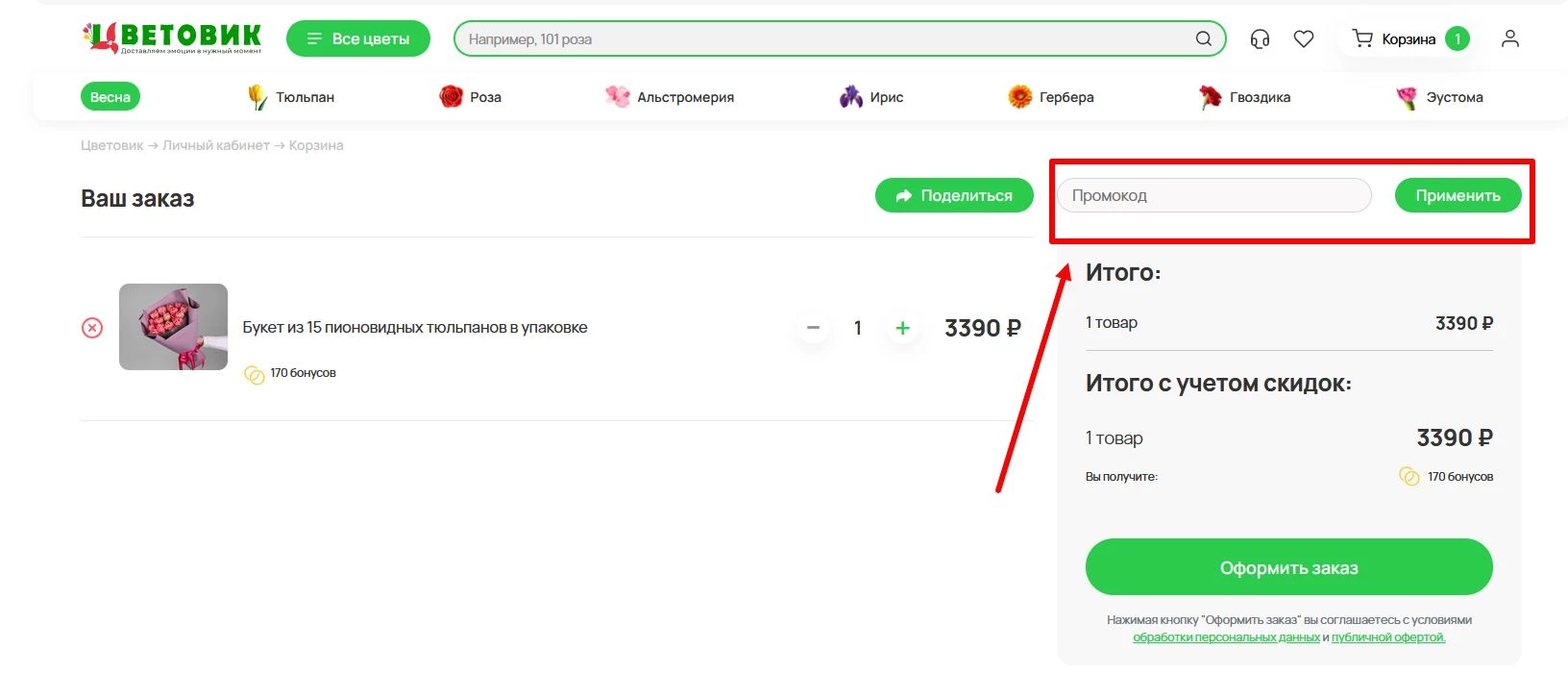 Применение промокода Цветовик