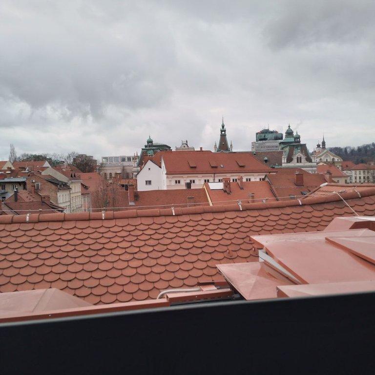 фото The Hotel Ljubljana