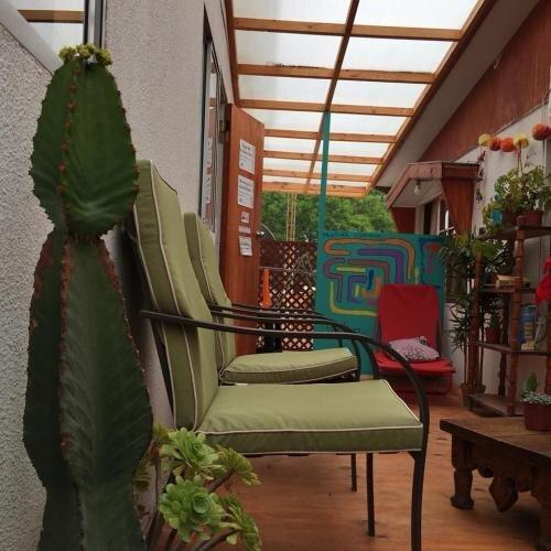 фото Hostel Cactus