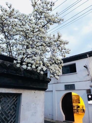 фото Suzhou Arts Zhulu Pingjiang Road