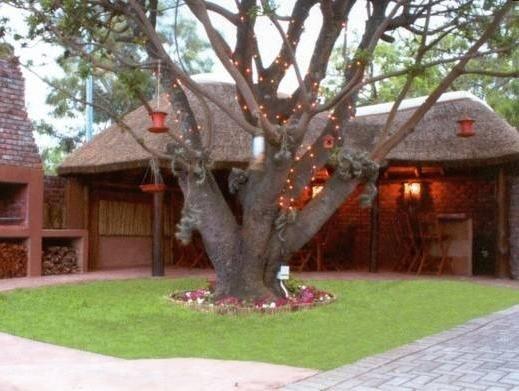 фото Treetops Guesthouse