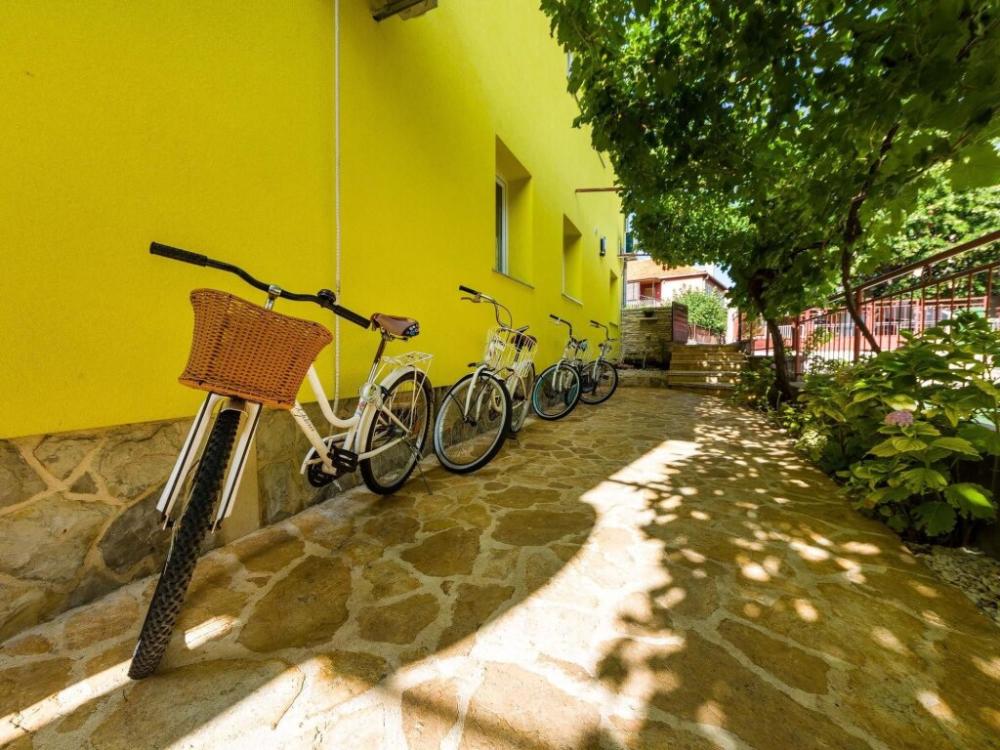 фото Apartment With 3 Rooms In Zadar, With Enclosed Garden And Wifi
