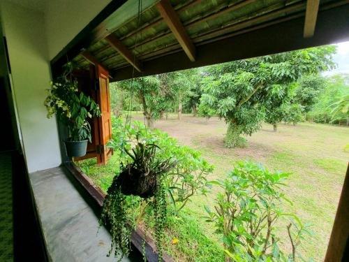 фото 246 Chiang mai Garden Villa