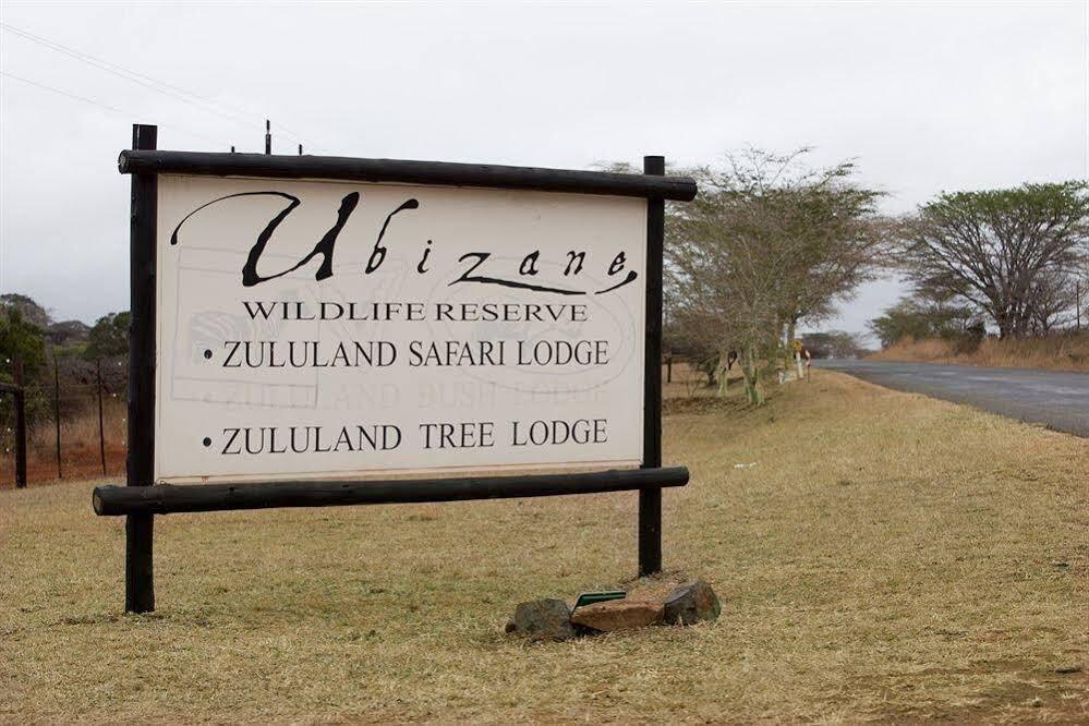 фото Zululand Safari Lodge