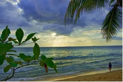 фото Coconut Palms Inn On The Beach