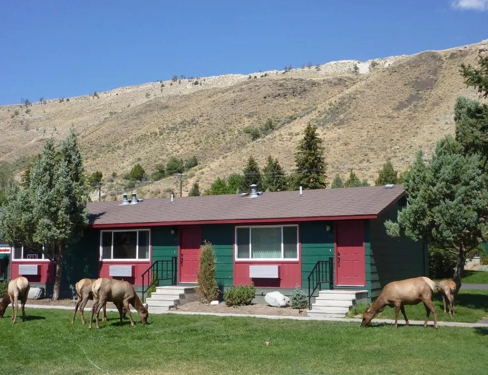 фото Yellowstone Gateway Inn
