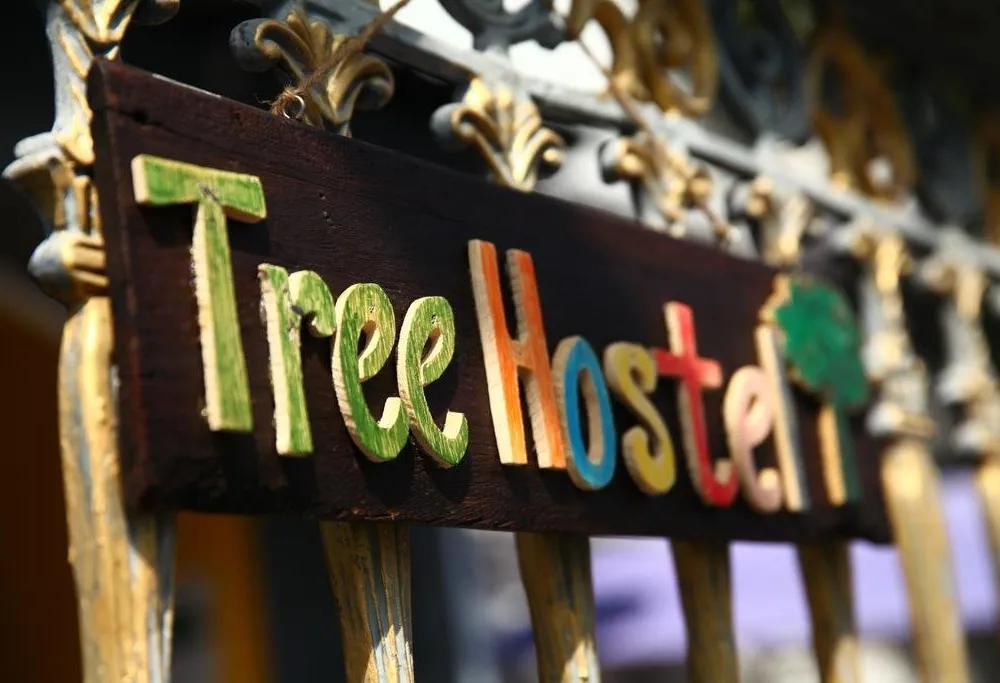 фото Tree Hostel Bangkok