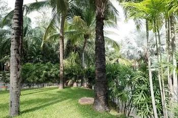 фото Suanpalm Garden View
