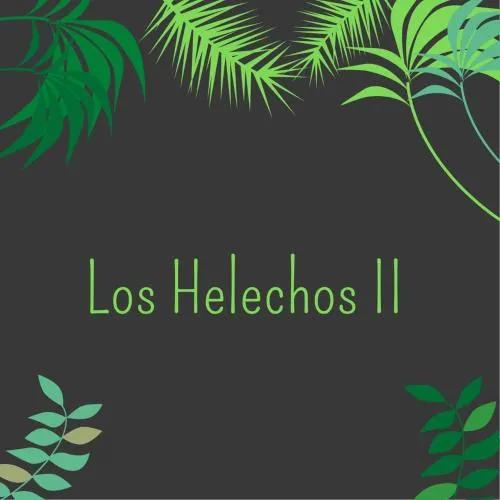 фото Hotel Los Helechos II