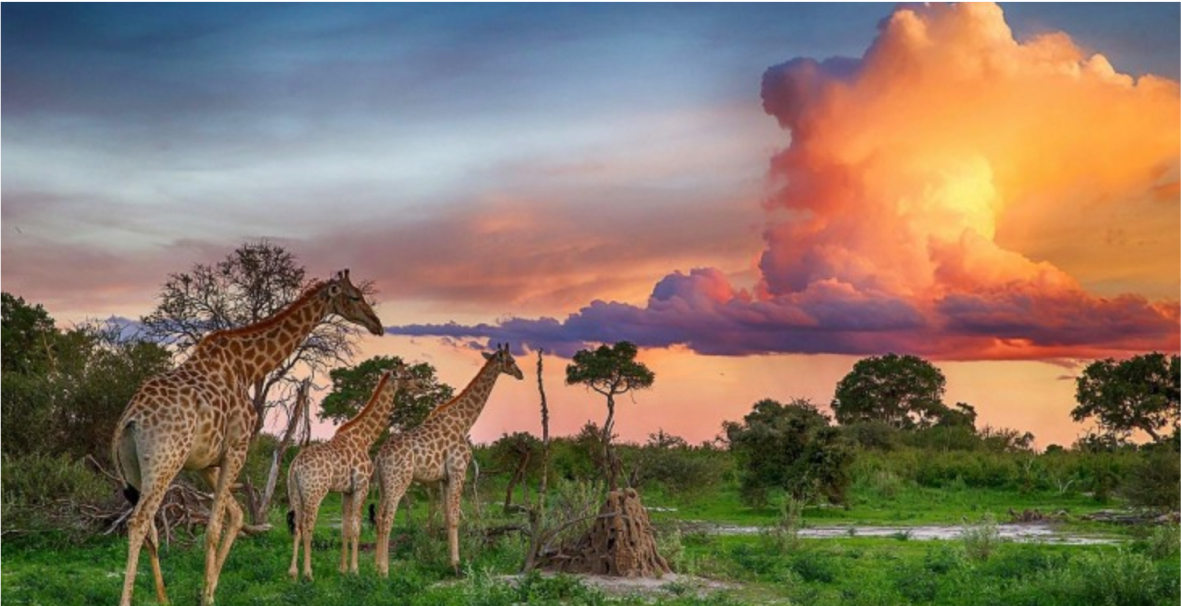 изображение для страны