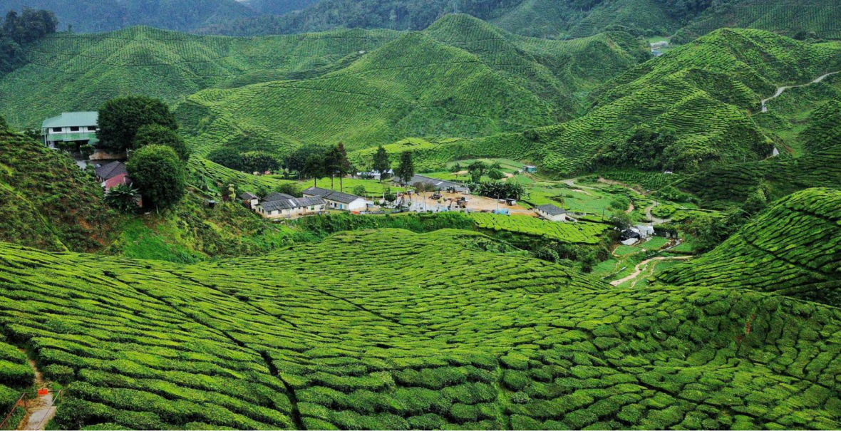 изображение для страны