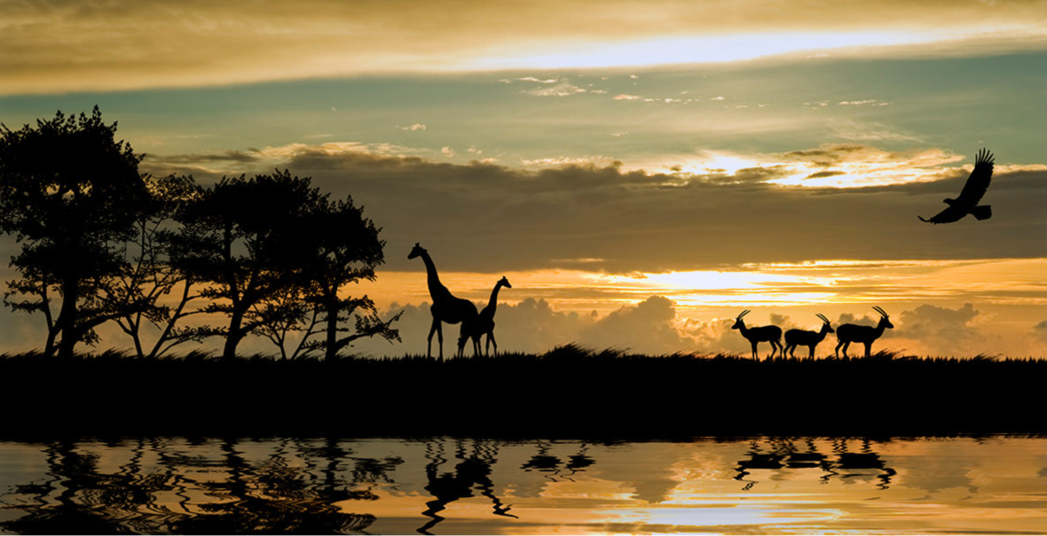 изображение для страны