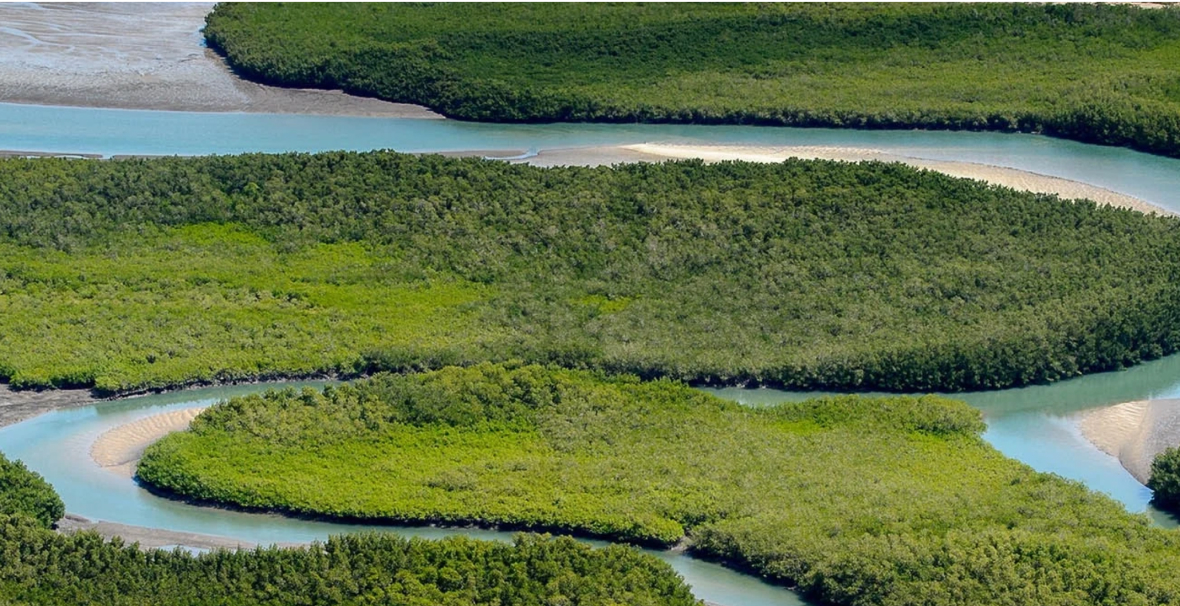 изображение для страны