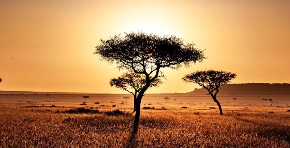 изображение для страны