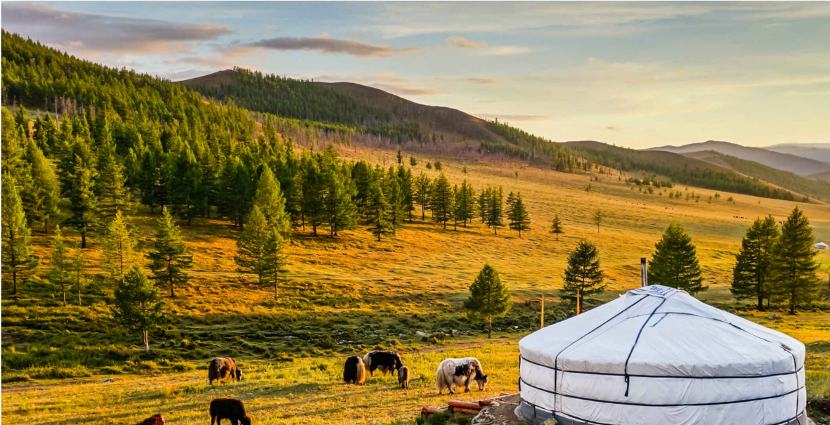 изображение для страны