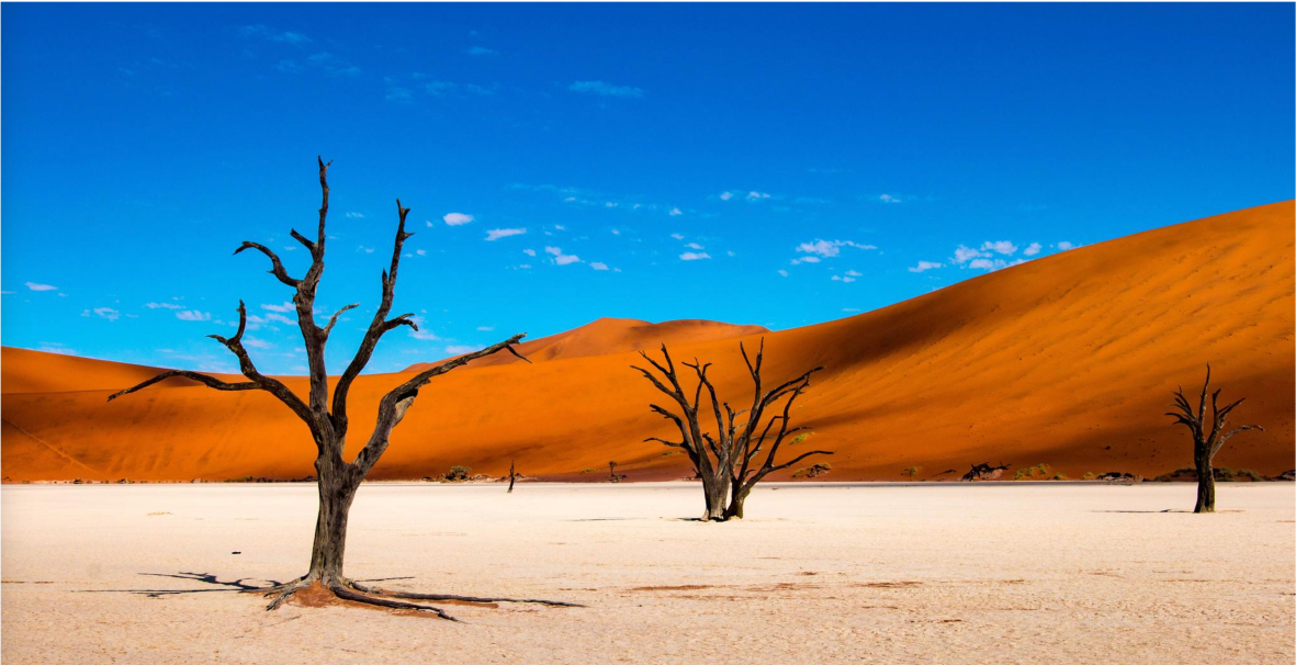 изображение для страны