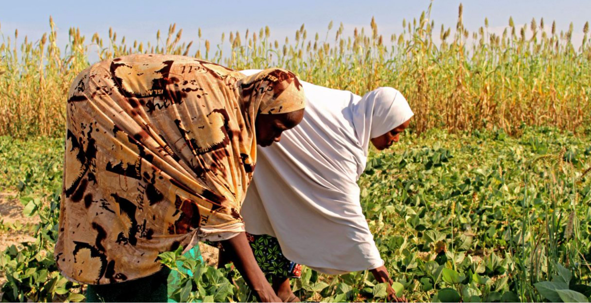 изображение для страны