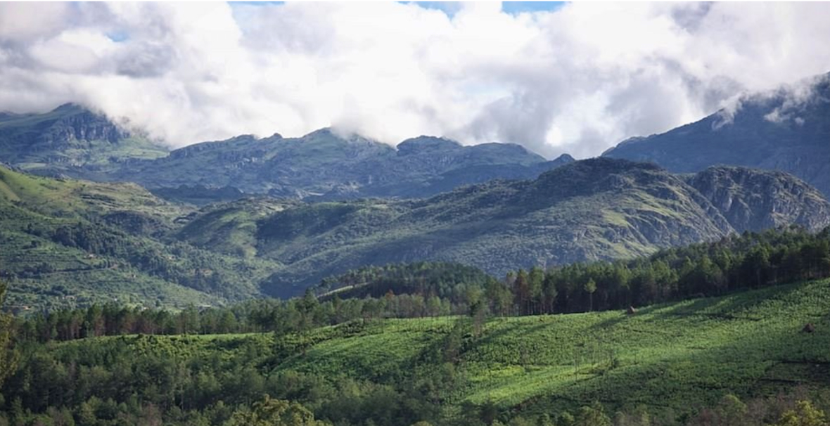 изображение для страны