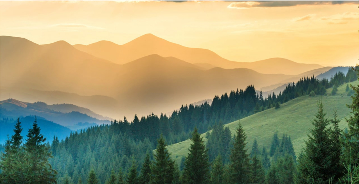 изображение для страны